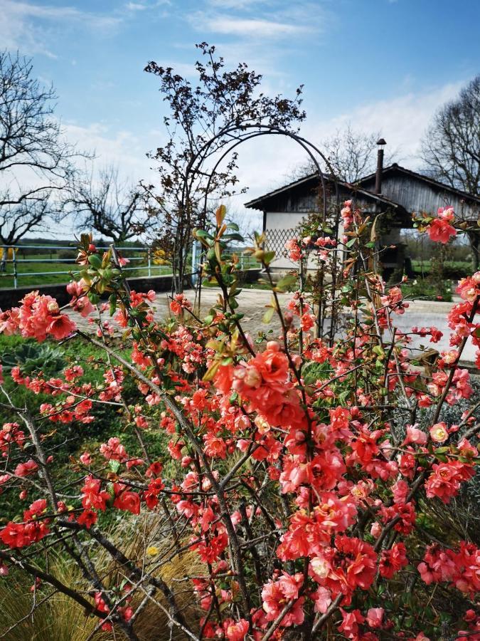 Bed and Breakfast Domaine De L'Esperance, Chambre Rose Bersaillin Exterior foto